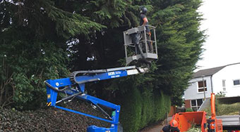 tree surgeon using a chipper after doing some hedge work