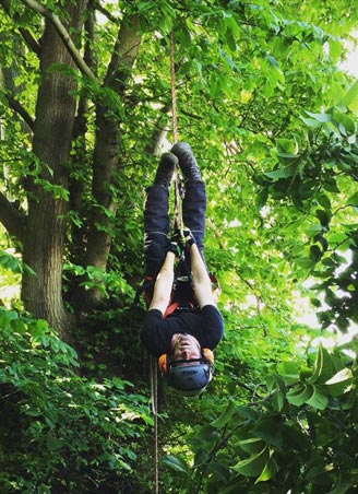 tree surgeon hanging from a tree