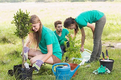 3 young people planting trees