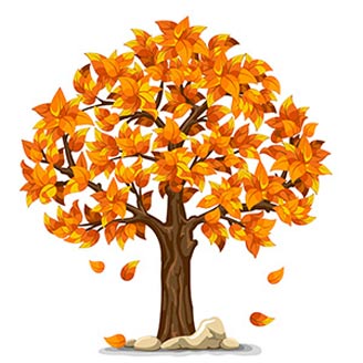 autumn leaves on a tree